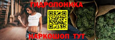 дмт Будённовск