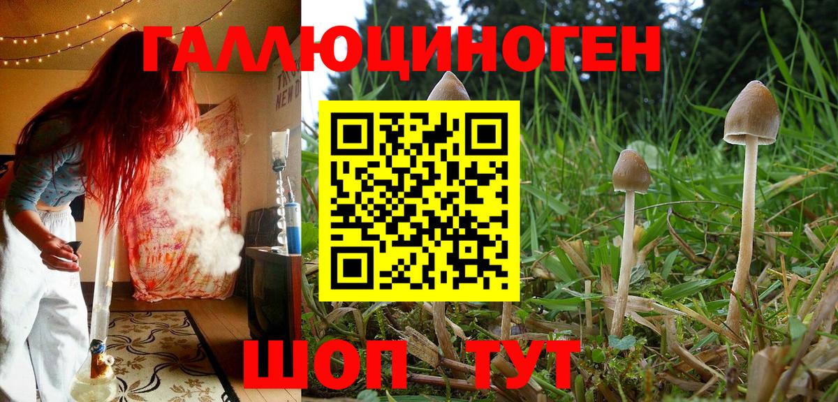 Псилоцибиновые грибы мухоморы Приморско-Ахтарск